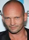 Andrew Howard biografia
