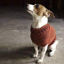 This quick & easy free knitting pattern & video tutorial will teach you how to knit a cardigan, even if you are a beginner knitter! 12 Dog Sweaters And Other Knitting Patterns For Pups