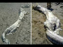 Das ungeheuer von loch ness. Ungeheuer Von Loch Ness Tot Youtube