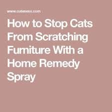 How To Stop Cats From Scratching Furniture With A Home Remedy Spray Furniture Scratches Cat Scratching Furniture Remedies
