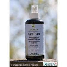 Hydrolat Ylang Ylang Cananga Odorata 200ml La Cabane Aux Aromes