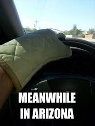 Some of the best things in summer are cute! You Know It S Too Hot Outside When Others