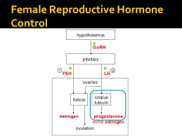 Hormones Affecting Reproduction
