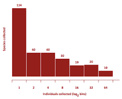 How Do You Make A Histogram Projects Hr Dashboard Seven