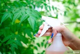 Sometimes dog need to chew so giving them good things to chew like nylabones, kongs, deer hooves or rope satisfies that need. How To Get Rid Of Animal Pests With Hot Pepper Spray 11 Steps