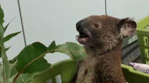 How to clean and descale your coffee machine? Https Www 9news Com Au National Remains Are Likely Missing Perth Woman 3d1b695d 48c3 4213 8353 2dfb143faf8e 9news En 2020 01 05t22 44 06 11 00 Remains Are Likely Missing Perth Woman 2020 01 05t22 44 06 11 00 1 0 Https Www 9news