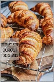 Flaky Sourdough Croissants With Step By Step Instructions Recipe Croissant Recipe Easy Croissant Recipe Croissants