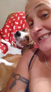 Photos of beagles or beagle cross breeds wanted