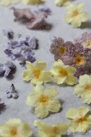 Easy identification via images and distinguishing features such as leaves, flowers use the links at the bottom of this page to navigate these edible flowers (listed in alphabetical order). How To Make Crystallised Flowers Recipes Made Easy