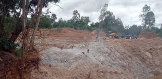 Check spelling or type a new query. Animals Flee As Trees Felled For Mining In Srirangapatna Deccan Herald