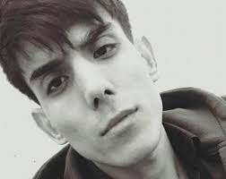 Vad betyder Vänsterbliven?