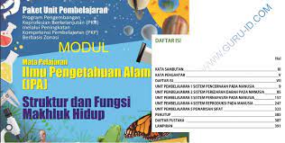 Berikut ini modul pkp smp unit pembelajaran ipa smp, matematika sd, bahasa indonesia smp, ppkn smp, ips smp, seni budaya smp, penjas / pjok smp, bahasa inggris smp, informatika smp, dan bimbingan konseling smp edisi tahun 2019. Download Modul Pkp Guru Ipa Smp 2019 Info Pendidikan Terbaru