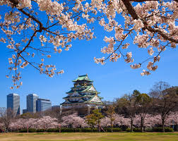 Explore the landscaped grounds at tropical spice garden to see over 500 species of plants and trees. 10 Rising Startups In Japan