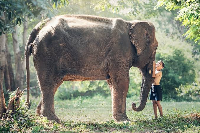 Why Your Kids Should Connect With Nature—and Wildlife – Childhood By Nature
