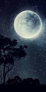 Pin By Ebrar Arik41 On Duvar Kagitlari Moon Art Moon Painting Moon Photography