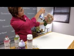 Fr Presents Technique Using Design Master Color Tool Spray On Hydrangeas Youtube