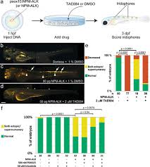 Image result for ALK Inhibitor