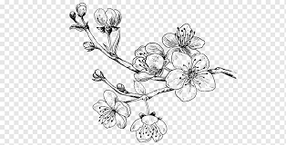 It's important to know the proper way to layer and apply the pencil to come out with a realistic result. Drawing Cherry Blossom Sweet Cherry Tree Tattoo Pencil Branch Symmetry Png Pngwing
