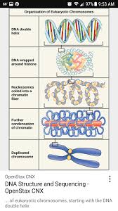 Pin By Ece Yurt On Science Biology Classroom Biology Lessons Teaching Biology