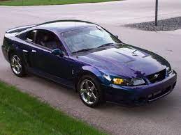 04 Mystic Cobra I Will Own One 2004 Ford Mustang Ford Mustang Cobra Mustang Cobra