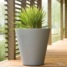 Check spelling or type a new query. How Should I Plant In A Container With No Drainage Holes Better Homes Gardens