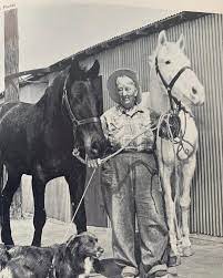 Annie Wilkins and her horses at the end of their trip across the country.  Tarzan (left) and King (right) whom she acquired after the loss of Rex.  Shortly after, Annie appeared on
