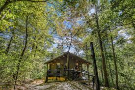 Bear Tootin: Firefly Lookout in Townsend