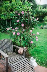 Steht die veredelungsstelle oben heraus, können leicht frostschäden auftreten. Sommerspecial Ab In Den Garten Rosen Nichts Als Rosen