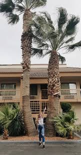 Informed rvers have rated 20 campgrounds near st george, utah. Palm Tree Picture Palm Tree Pictures Palm Tree Photography Palm Trees