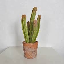 It would be better to use an opaque container with drainage. China Good Quality High Natural 42cm Artificial Plant Home Decoration Cactus Planter In Terracotta Pot For Indoor Home Decor China Artificial Flower And Home Decoration Price