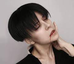 Cosplay Wig Leviheichou Rivaille Snk Attackontitan Shingeki Etsy In 2021 Levi Haircut Anime Haircut Cosplay Wigs