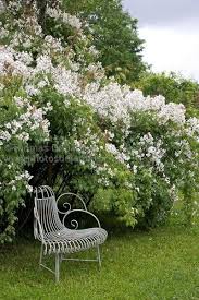 Jardin Edith Mc Leod Orleans Loiret White Garden White Flowers Inspiration By Jewelry Label Au Revoir Les Filles Shop Beautifully Crafted Afforda Garten
