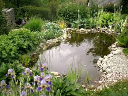 Verstecktes Biotop Bilder Und Fotos Teichlandschafts Wasserspiel Garten Gartenteich