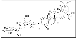 Image result for Massularia