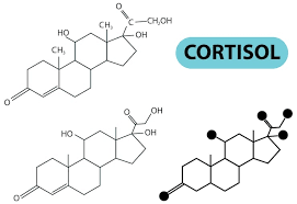 Image result for Fospropofol