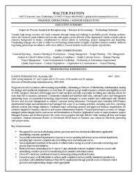 What hiring managers look for in finance manager resumes. Finance Executive Resume