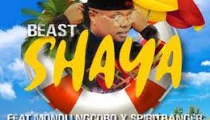 Inkanyezi has been positively received by his fans and is. Download Mondli Ngcobo Inkanyezi Fakaza 2020 Download