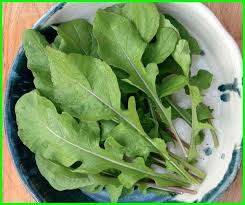 Maybe you would like to learn more about one of these? 12 Jenis Tanaman Sayur Sayuran Yang Paling Cepat Panen Ekor9 Com