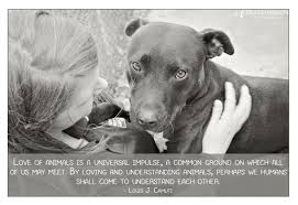 Sweet Lovable Spotty Is At Sutherland Shire Council Animal Shelter Nsw Waiting For His New Humans To Find Him Image Animals Animals Images Animal Shelter