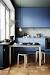 Ultra Modern Modern Blue Kitchen