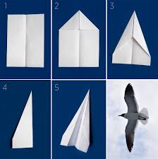 Hgtv.com has instructions on how to make five different homemade paper airplanes. These Paper Airplanes Fly Like Birds Audubon