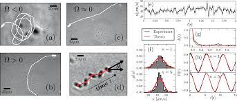 We offer a wide range of high quality human and animal cell and media systems. Statistics Of Pathogenic Bacteria In The Search Of Host Cells Nature Communications