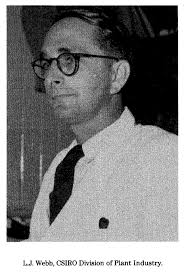 Leonard Webb (academic)