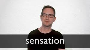 Image result for Sensation
