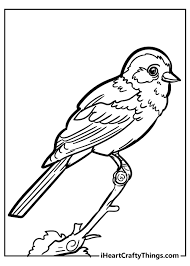 We've searched high and low for free bird coloring pages. Unique Bird Coloring Pages
