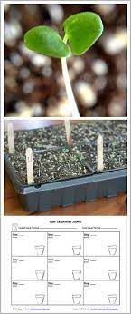 Gardening With Kids Planting Seeds With Free Printable Gardening For Kids Plants Science For Kids