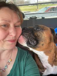 Im just starting to read about Purina Pro Plan being problematic. What does  everyone else feed. My boy is going