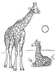Printable giraffes coloring page to print and color. Giraffe Coloring Page Giraffe Coloring Pages Mom Coloring Pages Giraffe Colors