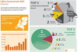 Maybe you would like to learn more about one of these? 6 Miljoen Euro Meer Betaald Voor Faunaschade In Nederland In 2020 Agraaf Nl Landbouwnieuws Voor West Nederland