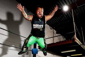 Hornswoggle Book: Former Wwe Wrestler Dylan Postl ...